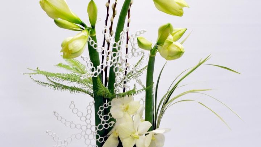 Vase d'amaryllis