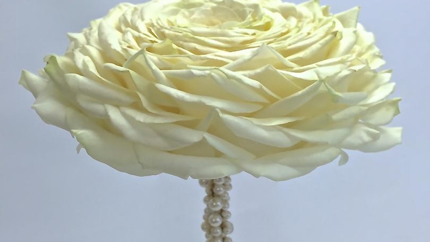 Glamélia de roses