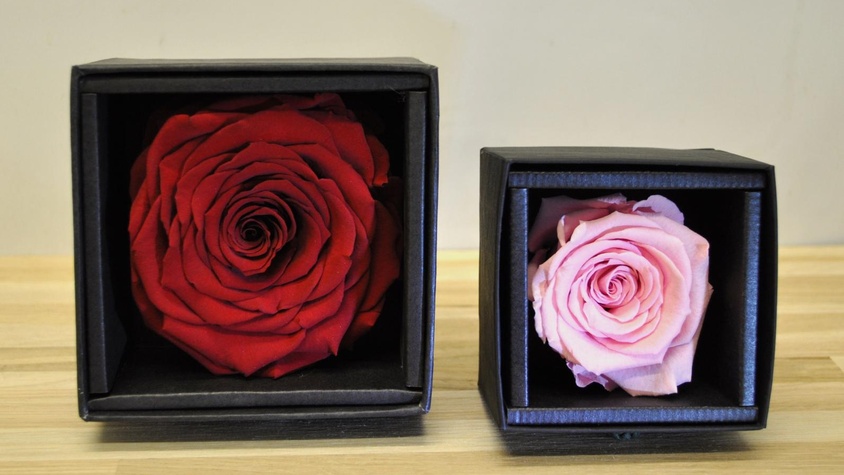 Rose éternelle en coffret